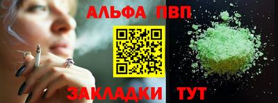 амф Кингисепп