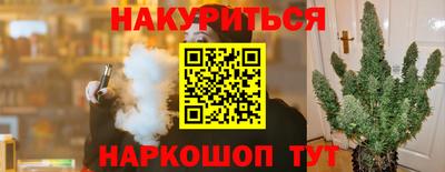 спиды Камышлов