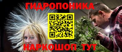 спиды Камышлов