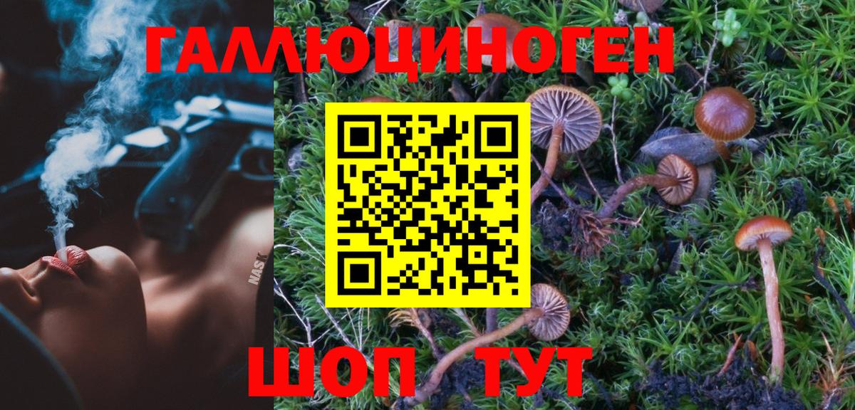 Ливны  Псилоцибиновые грибы мицелий  цены наркотик  Вход с VPN 